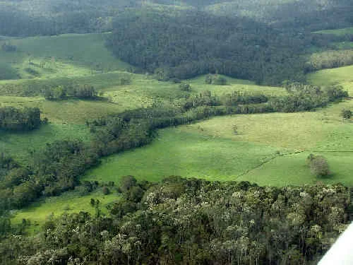 Landscape linkages--a conservation corridor in north Queensland, Australia.