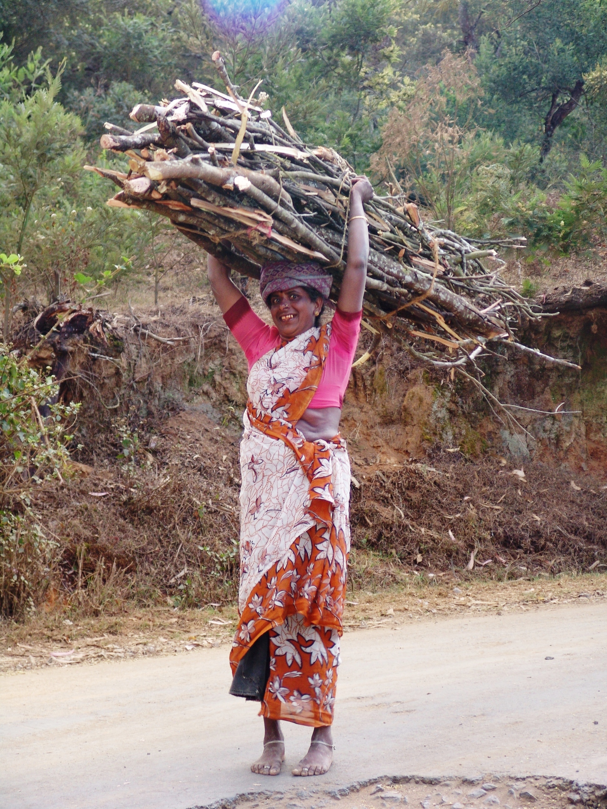 Parks under pressure... fuelwood harvesting in India (photo by William Laurance)