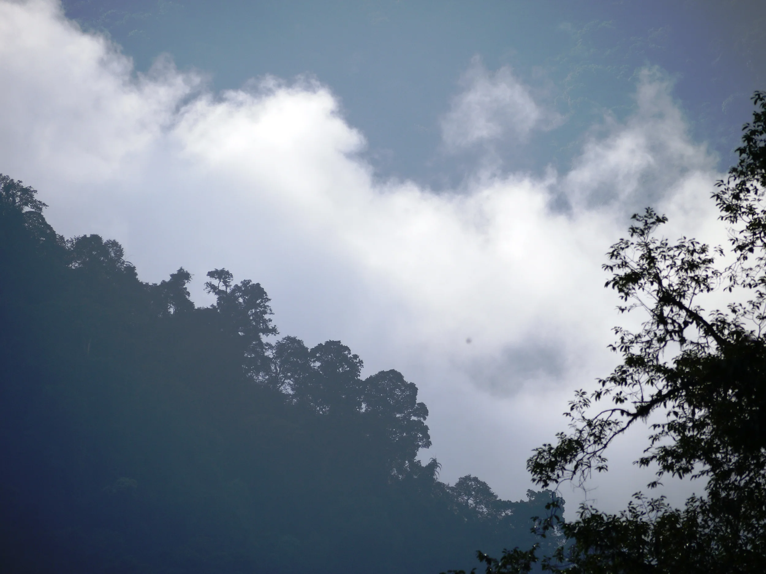 A cool mist shrouds one of the hottest of the hotspots (photo by William Laurance)
