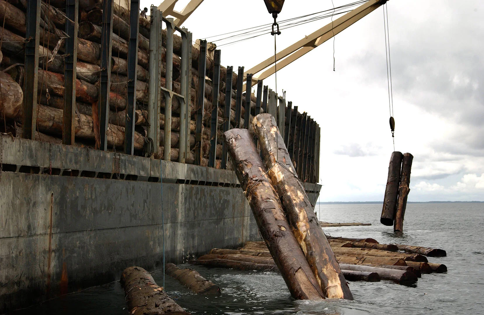 The perils of payoff... raw logs destined for China
