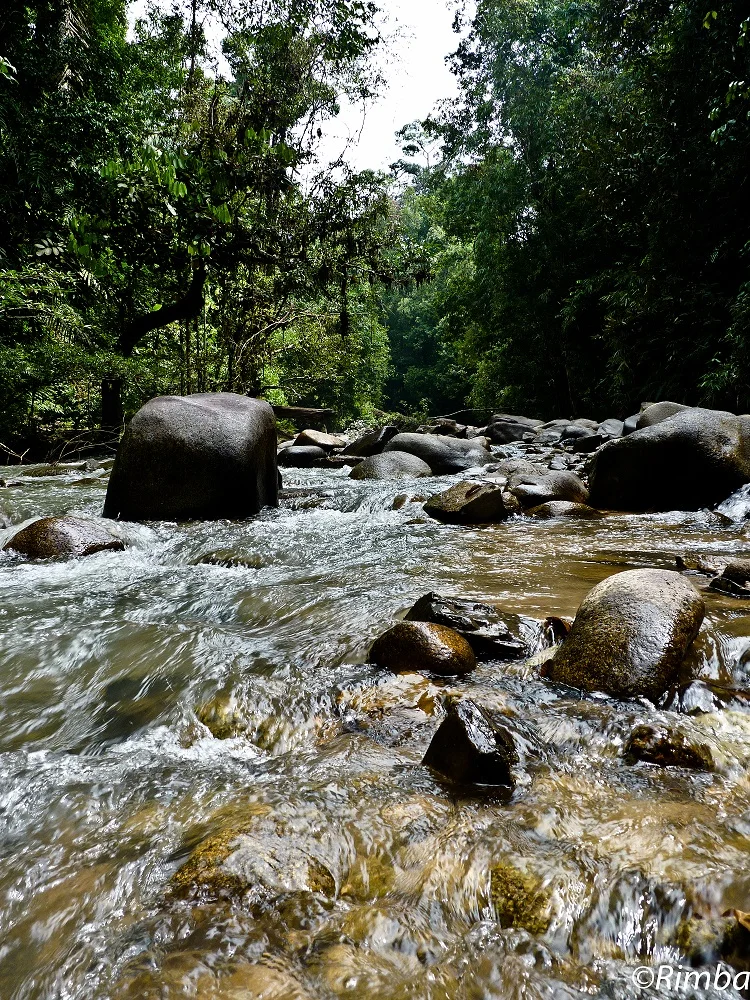 Selangor Park is a vital source of clean water for a large and growing populace (photo by Gopalasamy Reuben Clements)
