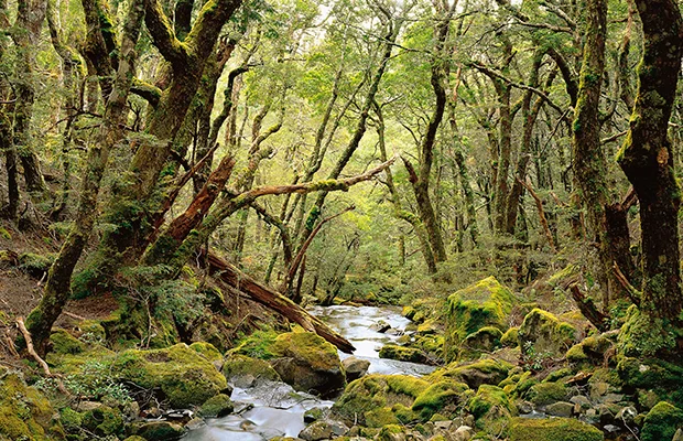 Easy to understand why it's a World Heritage Area...
