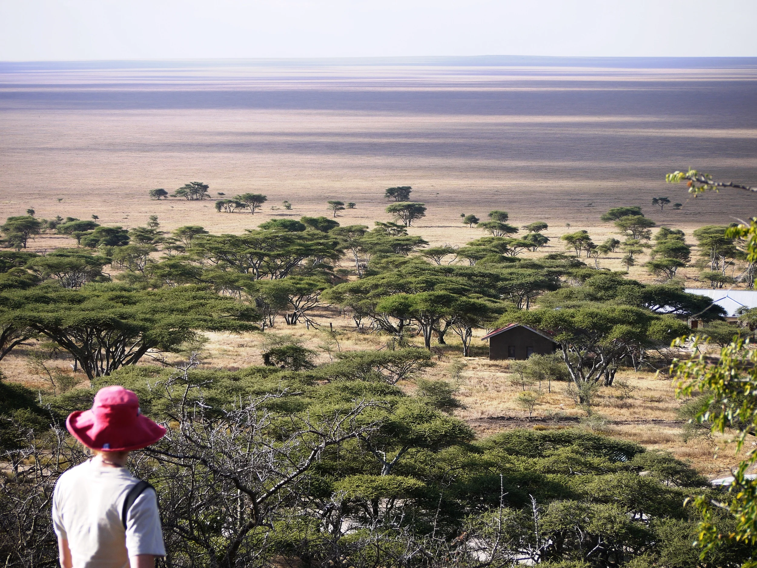 Trouble on the horizon... even the iconic Serengeti could be threatened by mining (photo by William Laurance)