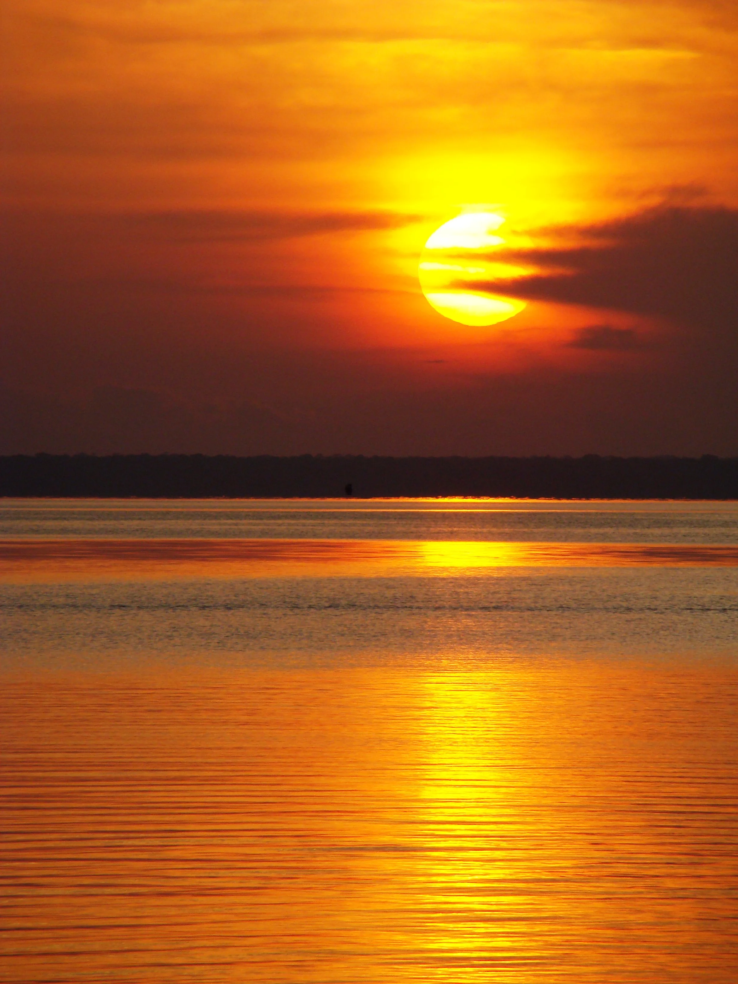 Amazon rivers and forests are in trouble... (photo by William Laurance)