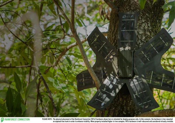 Smart phones get a new lease on life -- helping to save nature.