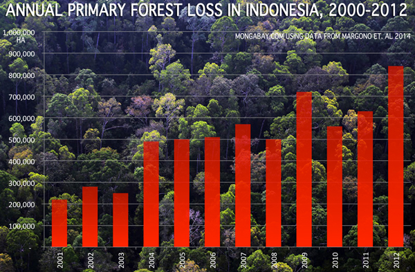 Accelerating deforestation in Indonesia (from Mongabay)