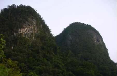 A limestone karst (photo by Gopalasamy Reuben Clements)
