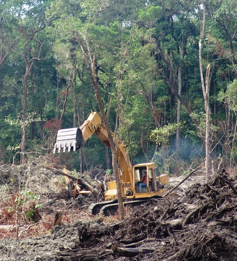 Forests under assault in Panama (photo by William Laurance)