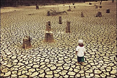 Where once stood proud forests... eco-devastation in Sarawak.
