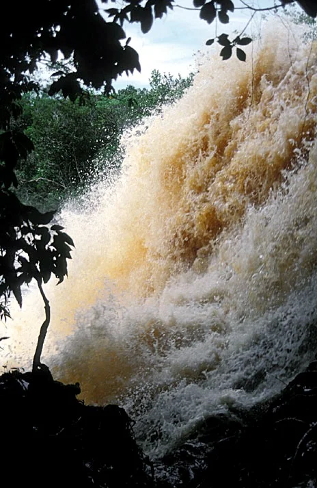 A tropical torrent -- flooding in the Amazon (photo by William Laurance)