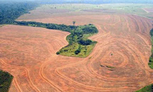 In the Amazon, soy farming was a major rainforest killer.