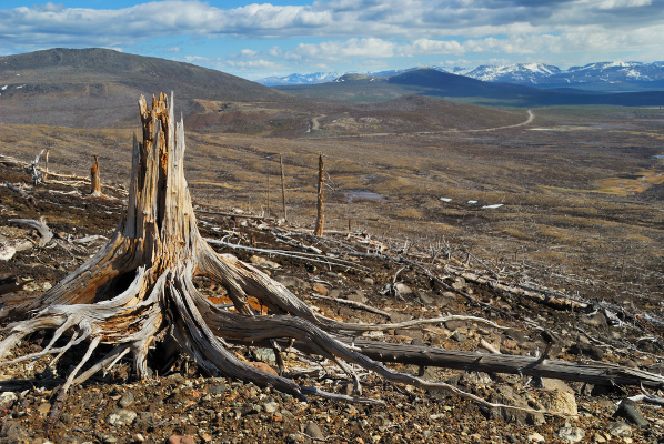 Growing perils for nature...