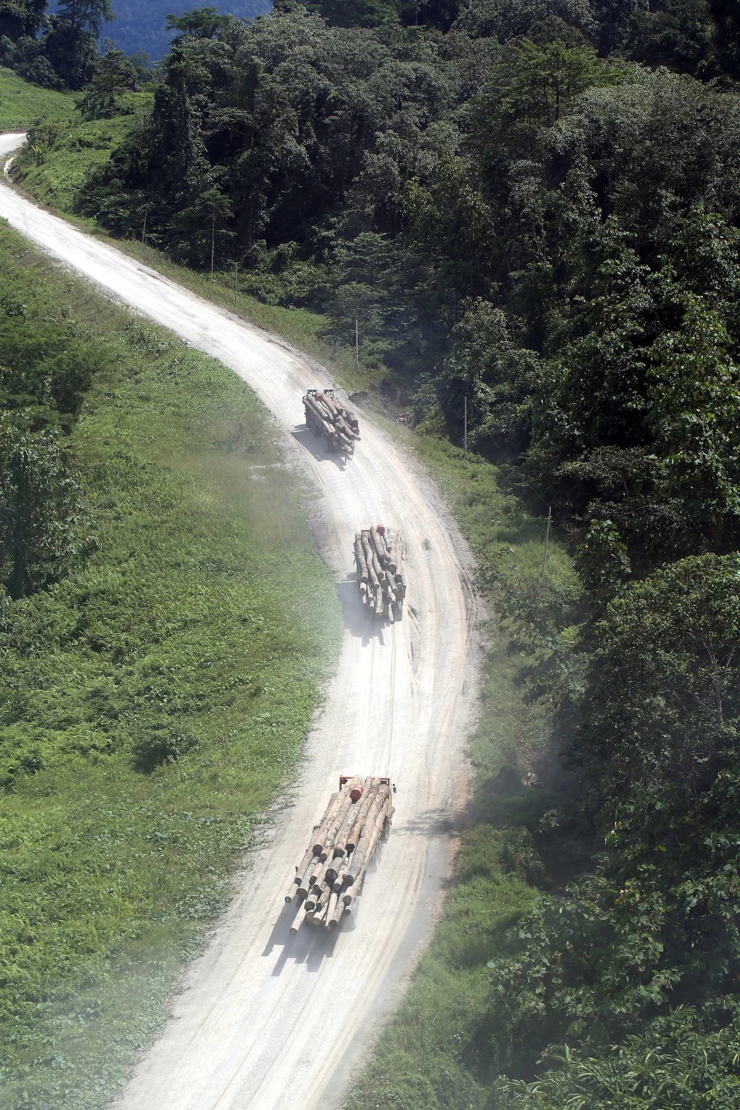 New roads everywhere you look... (photo (c) Rhett Butler, Mongabay.com)