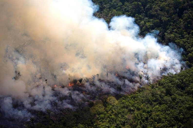 Amazon rainforest under assault