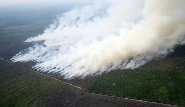 Fires seem to increase each year in Indonesia