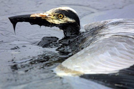 Drowning for oil