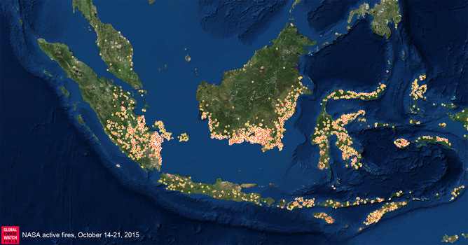 Fires detected in a single week in Indonesia (from Global Forest Watch)