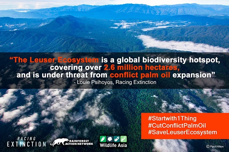 leuser.jpg