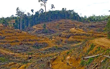 In the tropics, as elsewhere, we're facing an increasingly fragmented future.