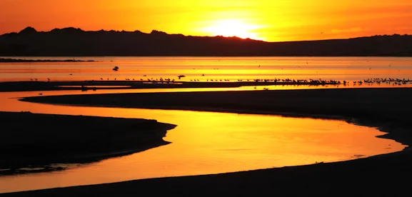 The world's remaining wild rivers are under assault from thousands of new hydroelectric dams (photo by Mark Ziembicki).