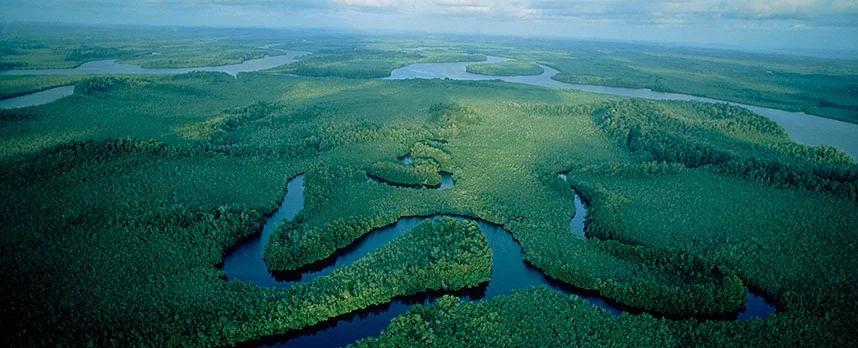 The Congo -- 'the green heart of Africa' -- but for how much longer?
