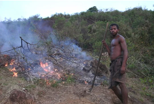 Farming is inefficient across large expanses of the world, especially in developing nations such as this slash-and-burn plot in Madagascar.