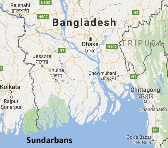 The mangrove forests of the Sundarbans (in green) in southwestern Bangladesh and the bordering area of India.