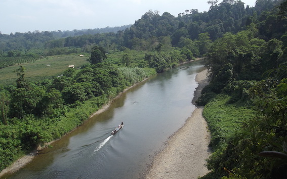 Each year farms, tracks, and roads encroach further into the Leuser Ecosystem -- conservationists are trying to staunch the forest loss (photo (c) Suprayudi)