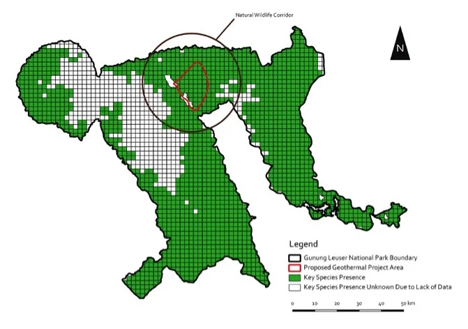 Critical habitat for rainforest wildlife.