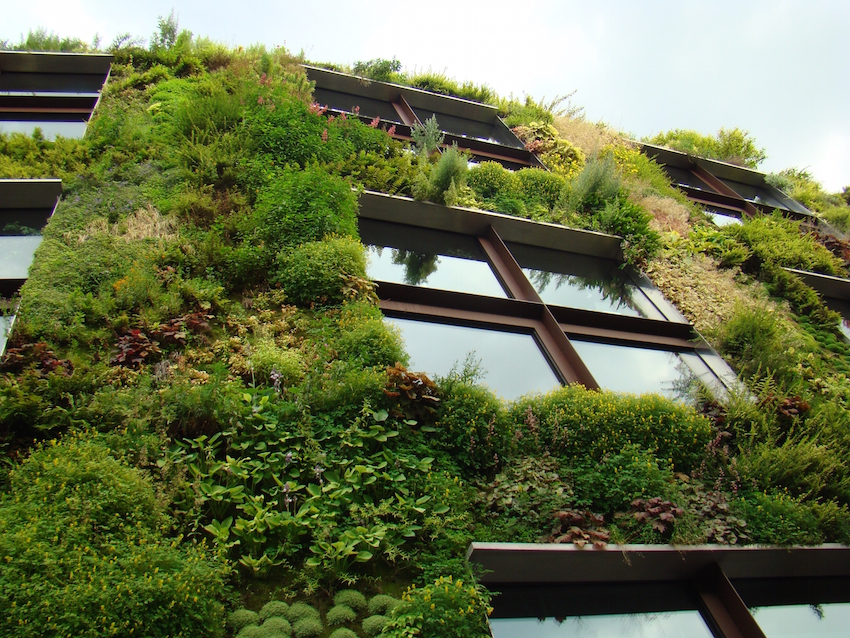 Appreciating nature in Paris, via creative architecture (photo by Bill Laurance)
