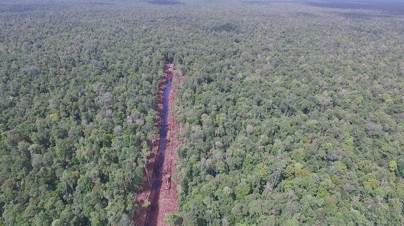 The major canal cutting through the Sungai Putri peat swamp was 8 kilometers in length a month ago (photo (c) International Animal Rescue).