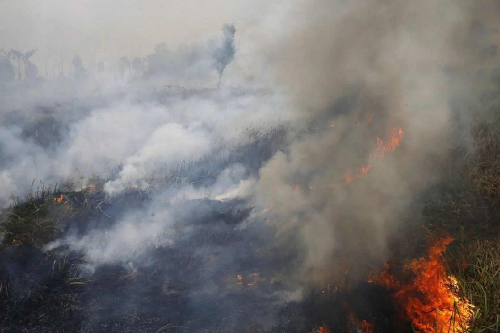 A 2015 peat fire in Sumatra, Indonesia