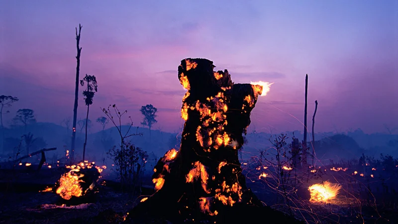 Fire-Amazon-BBC-photo.jpg