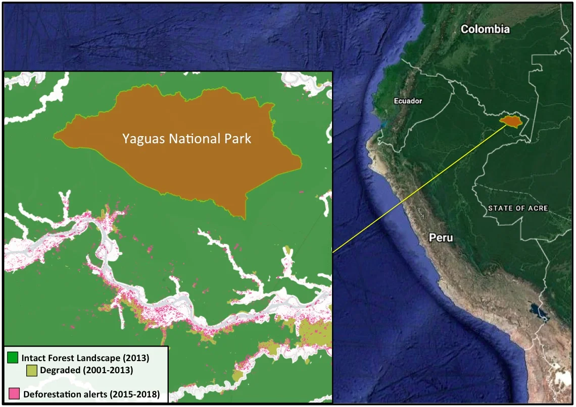 From Mongabay.com (2018).