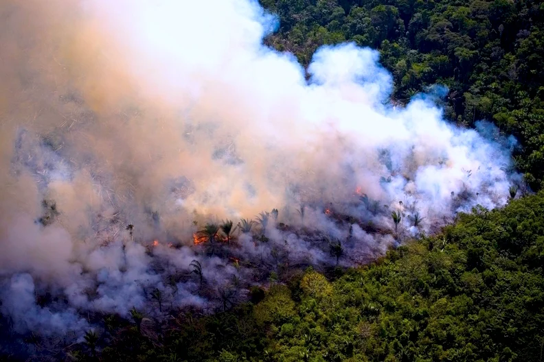Fire-Amazon.jpg