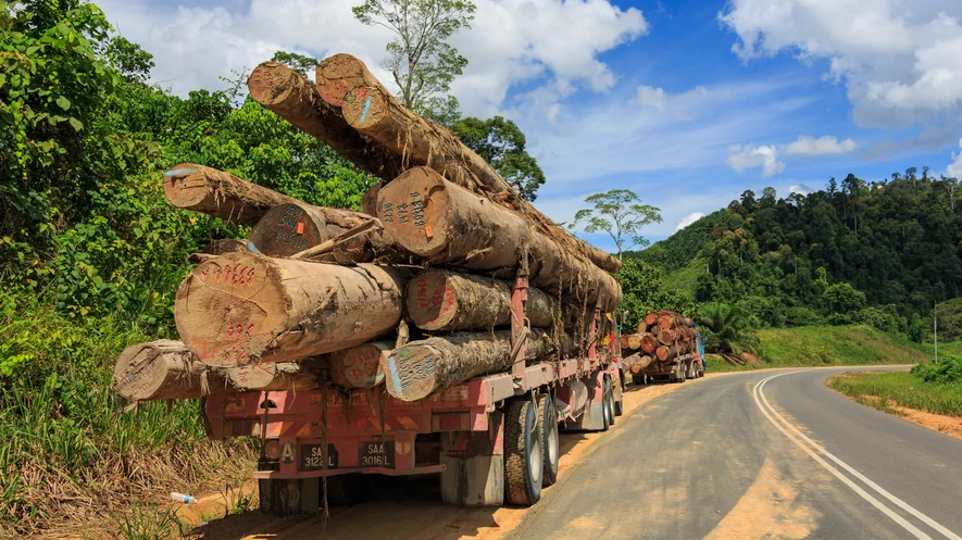 govt-tropical-deforestation-0bc61b73.jpg