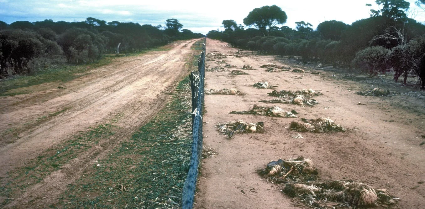 Emu-Barrier-Fence2.jpg