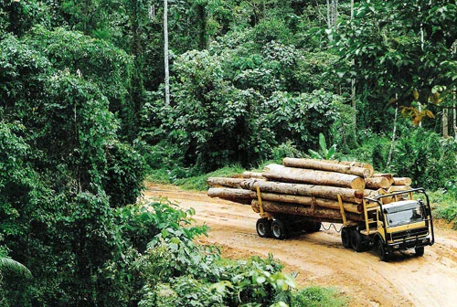 logging truck.jpg
