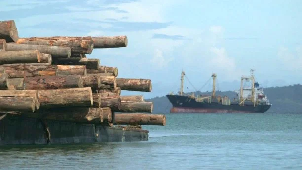 Ship_waiting_for_Loading_Turubu_Bay2-612x346.jpg