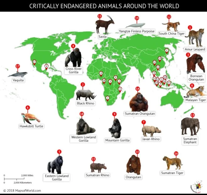 world-map-endangered-animals.jpg