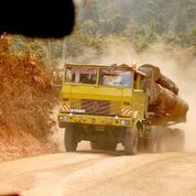 -- Press Release: For Immediate Distribution --         Mega-Highway Imperils ‘Biological Jewel’ of Nigeria  One of Africa’s most important protected areas, Cross River National Park in Nigeria, is being imperiled by a highly controver