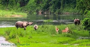 NEPAL’S ‘HEART OF THE JUNGLE’ IMPERILED BY MEGA-PROJECTS