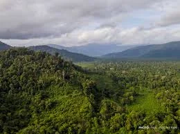 CONSERVING ‘LAST REFUGE FOR NATURE’ IN SUMATRA, INDONESIA