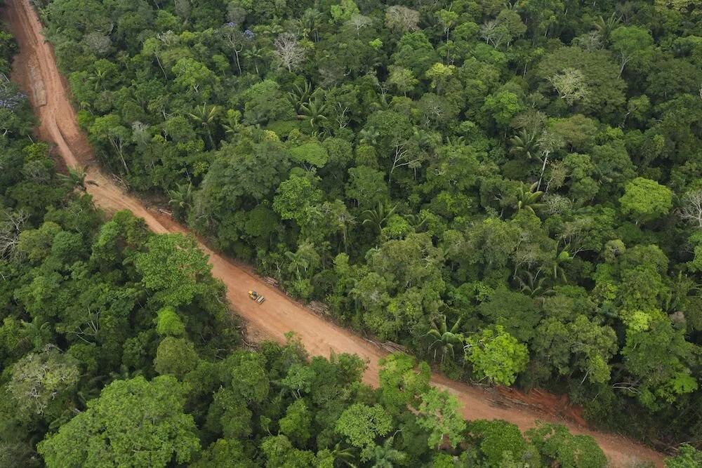 Road through amazon.jpg