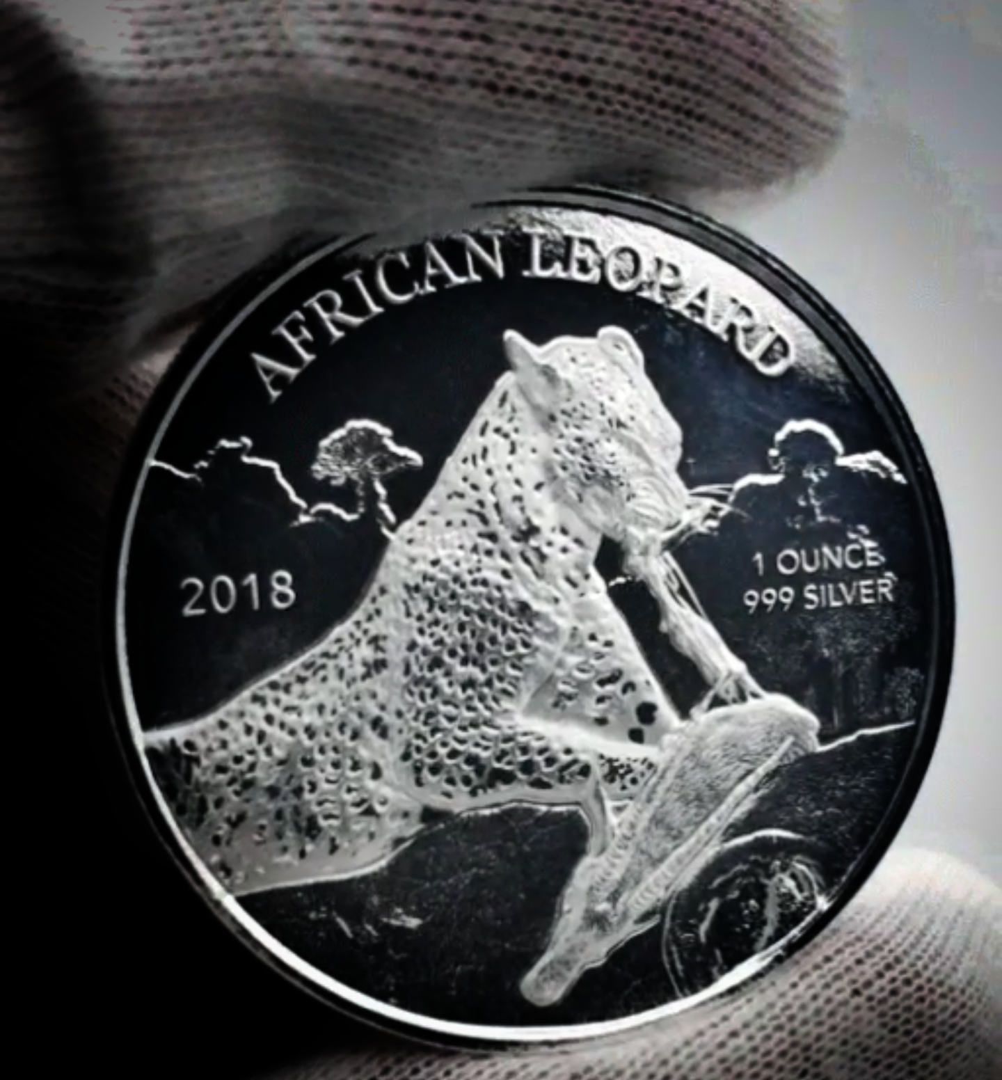 Coin Reading - Silver