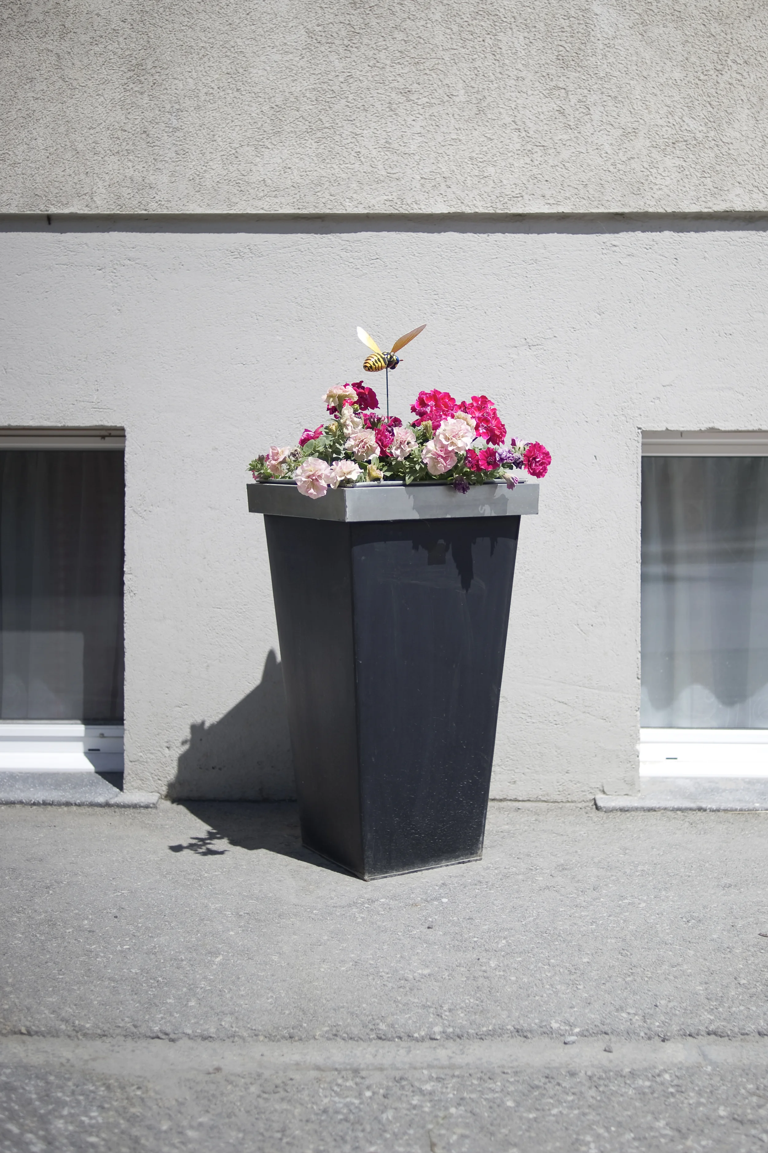 saas grund_juni2010_6876.jpg