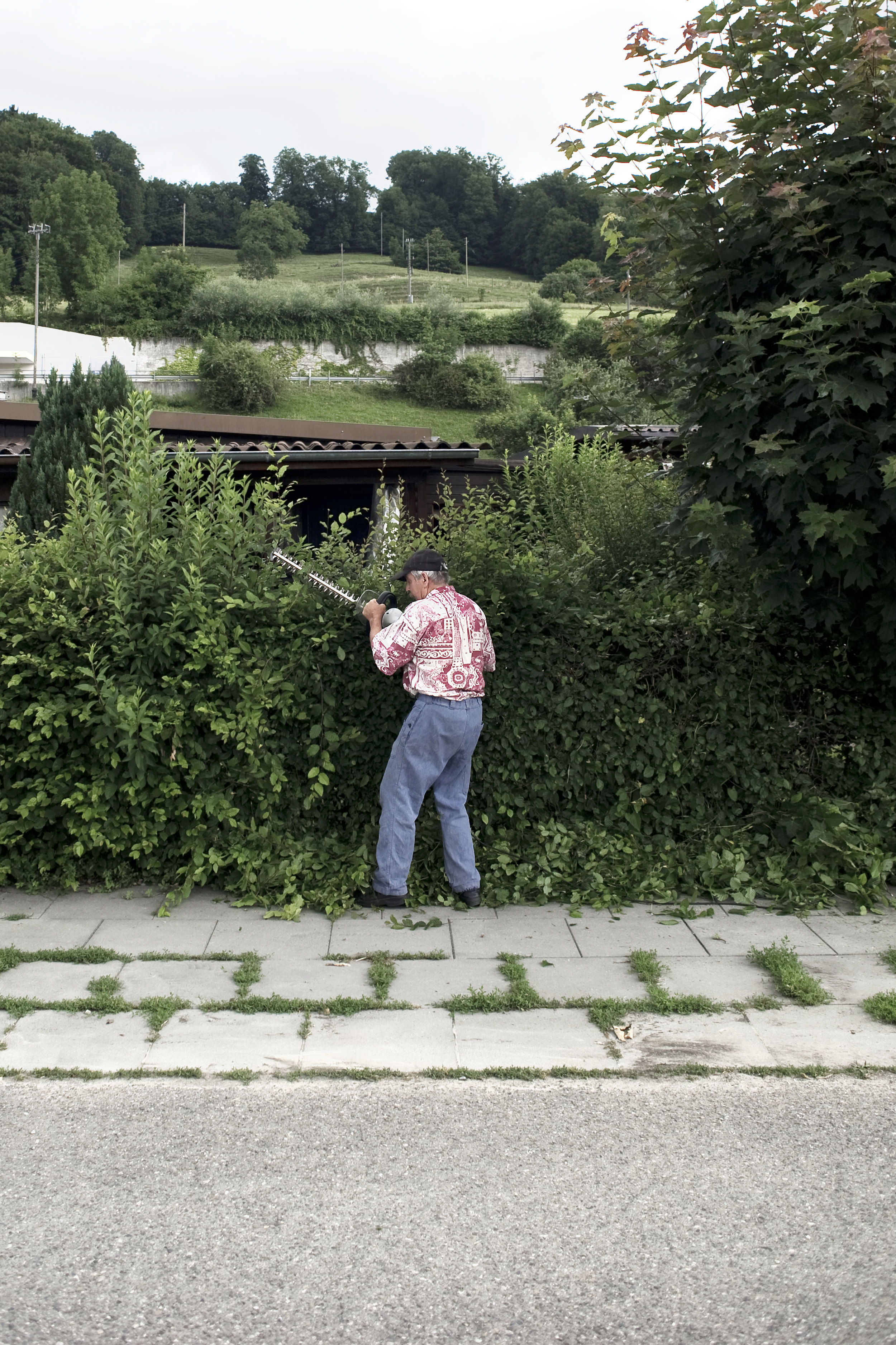 thörishaus_juli2010_7059.jpg
