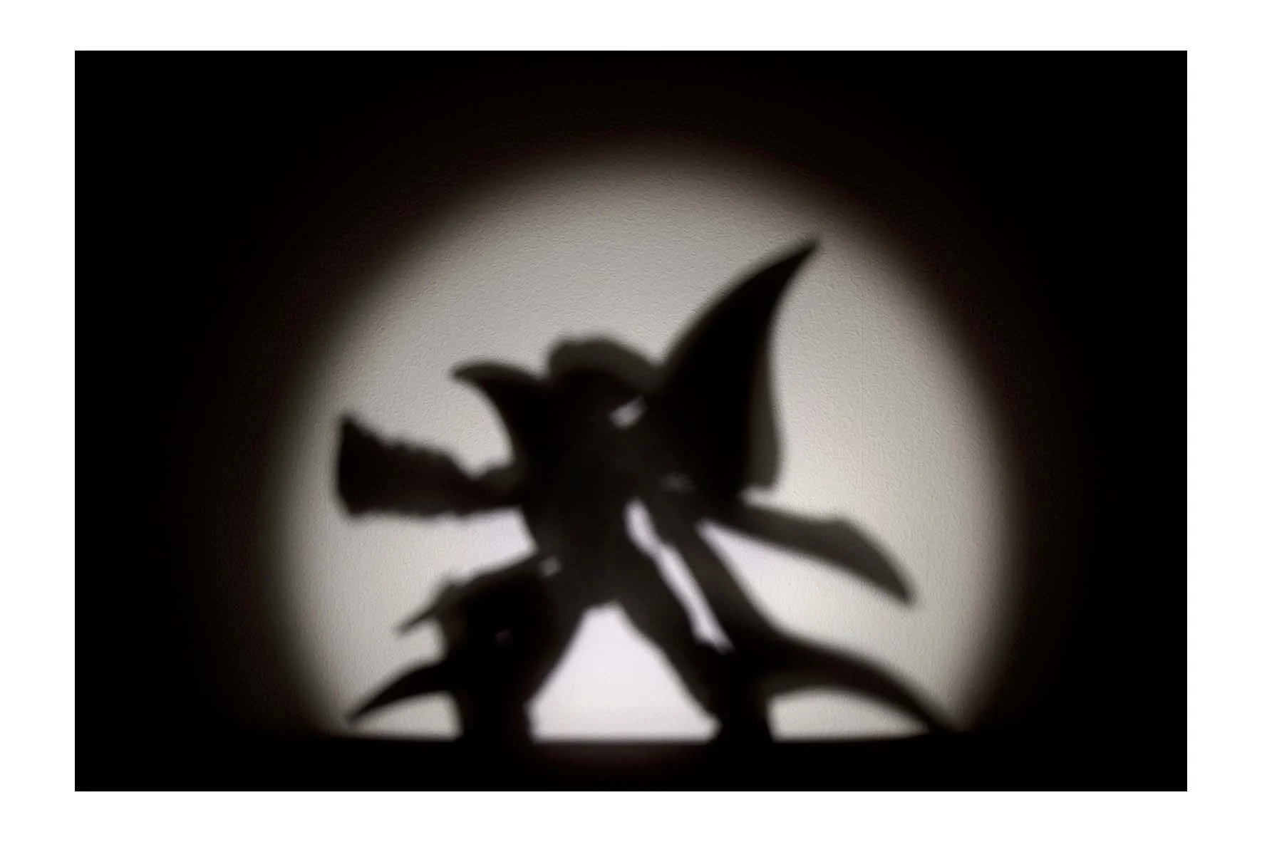 12_09_Simon Tanner.jpg