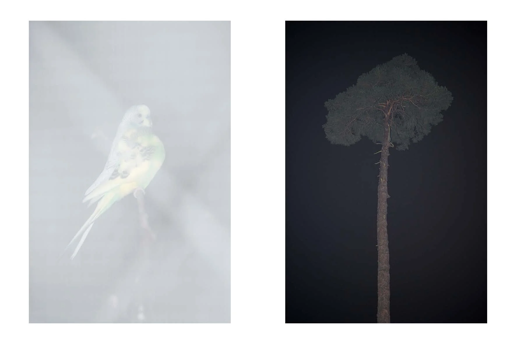 12_10_Simon Tanner.jpg