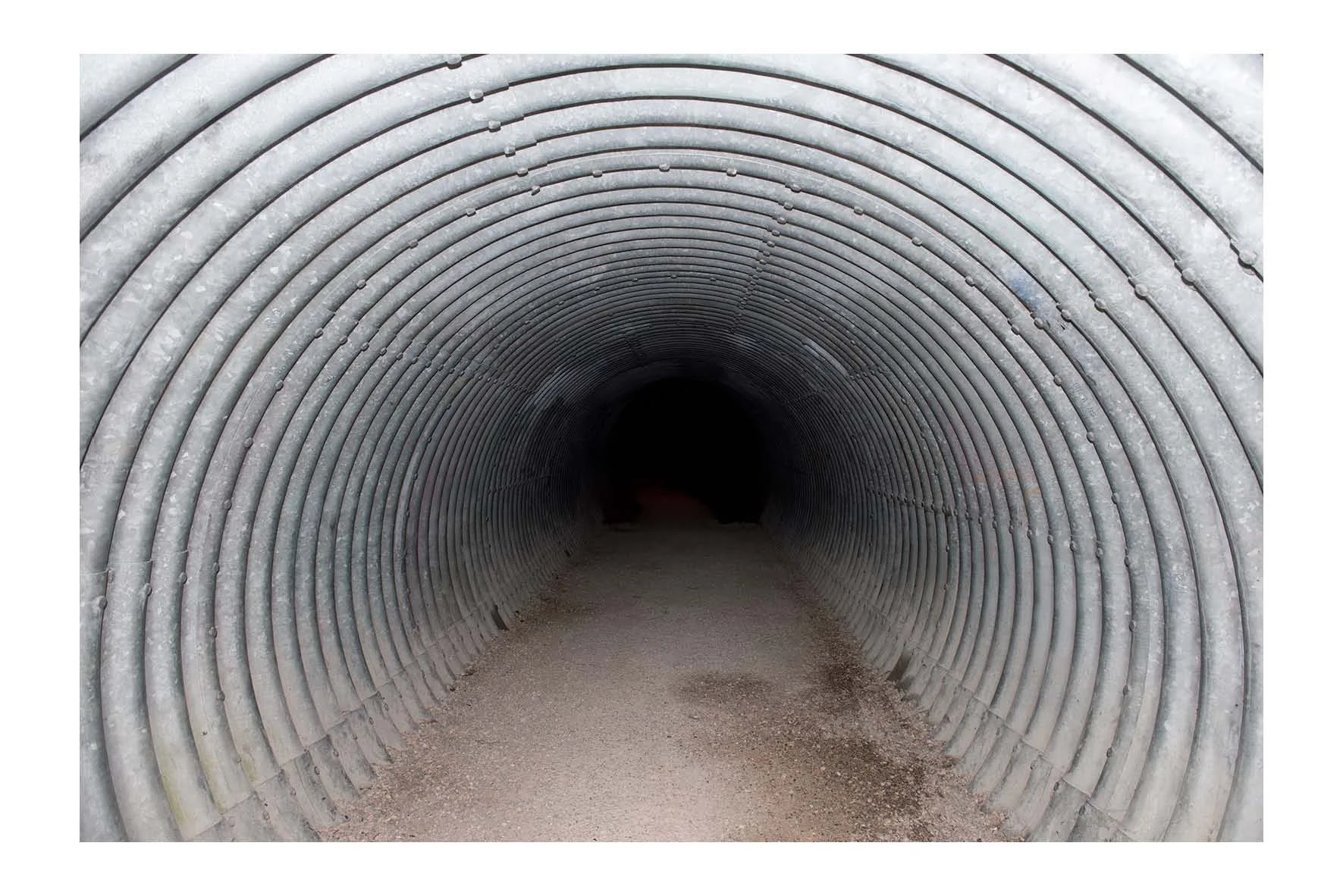 12_21_Simon Tanner.jpg